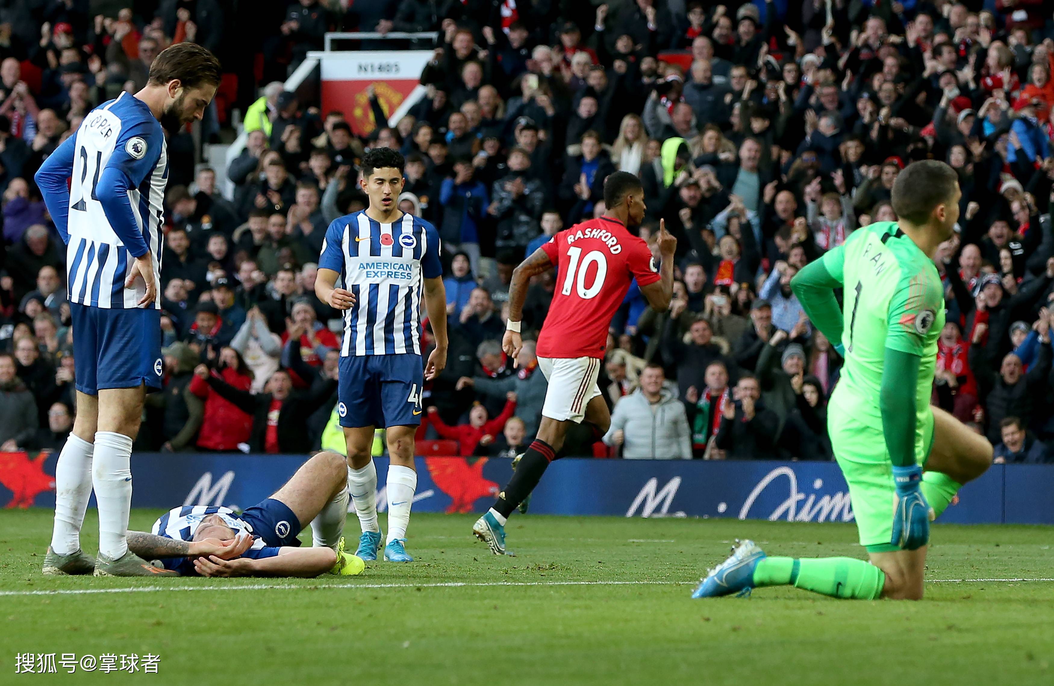 球迷和专家 球迷和专家